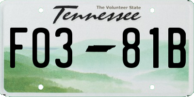 TN license plate F0381B
