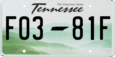 TN license plate F0381F