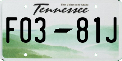 TN license plate F0381J