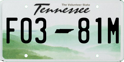 TN license plate F0381M