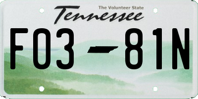 TN license plate F0381N