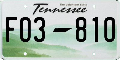 TN license plate F0381O
