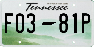 TN license plate F0381P