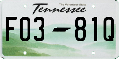 TN license plate F0381Q