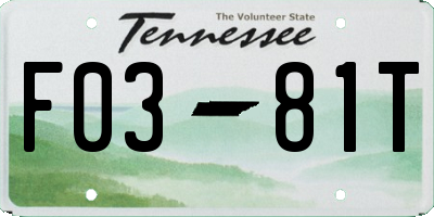 TN license plate F0381T