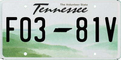 TN license plate F0381V