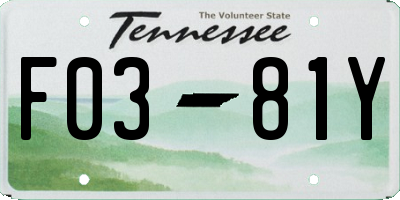 TN license plate F0381Y
