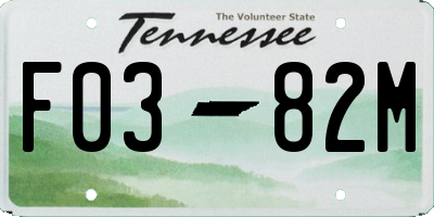 TN license plate F0382M