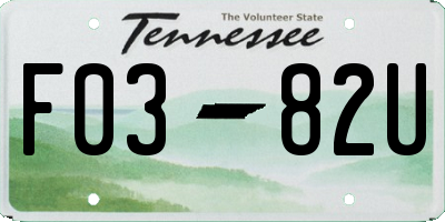 TN license plate F0382U