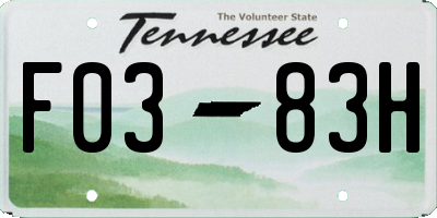 TN license plate F0383H