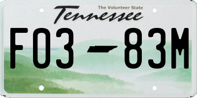 TN license plate F0383M