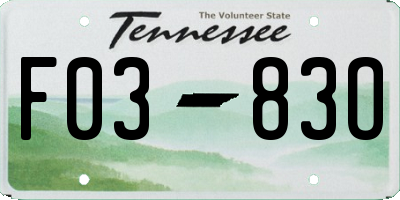 TN license plate F0383O