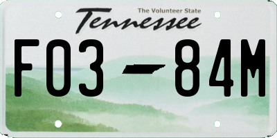 TN license plate F0384M