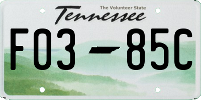 TN license plate F0385C
