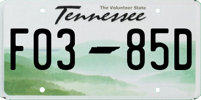TN license plate F0385D