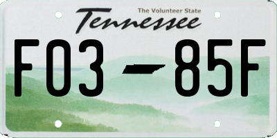 TN license plate F0385F
