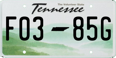 TN license plate F0385G
