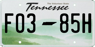 TN license plate F0385H