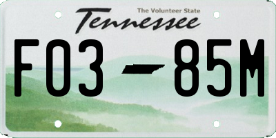 TN license plate F0385M