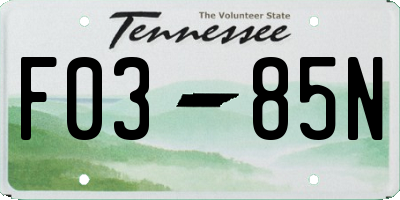 TN license plate F0385N
