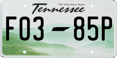 TN license plate F0385P