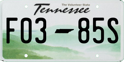 TN license plate F0385S