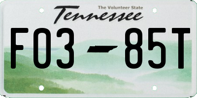 TN license plate F0385T