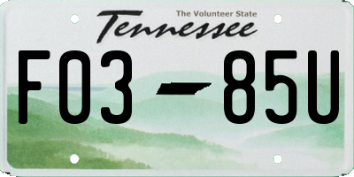 TN license plate F0385U