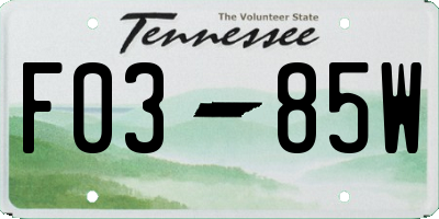 TN license plate F0385W