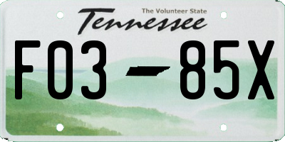 TN license plate F0385X