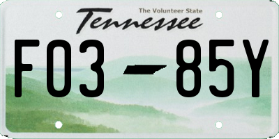 TN license plate F0385Y