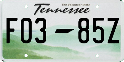 TN license plate F0385Z