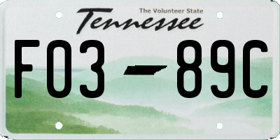 TN license plate F0389C