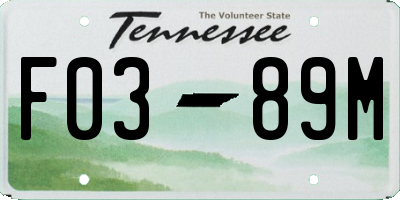TN license plate F0389M