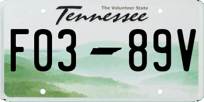 TN license plate F0389V