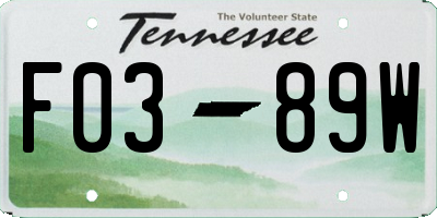 TN license plate F0389W