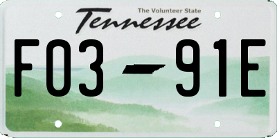 TN license plate F0391E