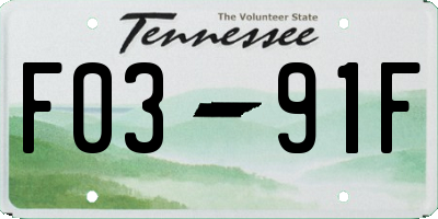 TN license plate F0391F