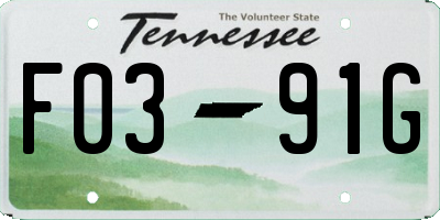 TN license plate F0391G