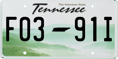 TN license plate F0391I