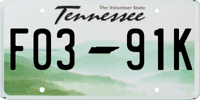 TN license plate F0391K