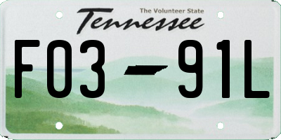 TN license plate F0391L
