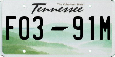 TN license plate F0391M