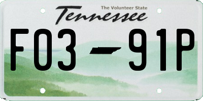 TN license plate F0391P