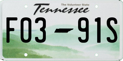 TN license plate F0391S