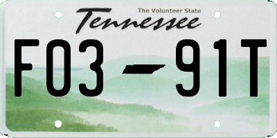TN license plate F0391T