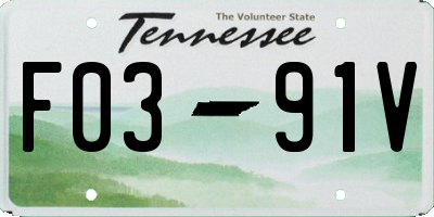 TN license plate F0391V