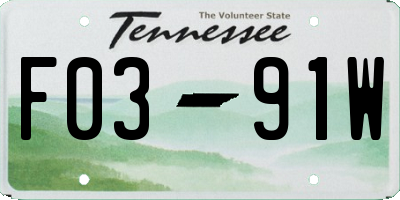 TN license plate F0391W
