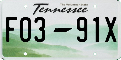 TN license plate F0391X