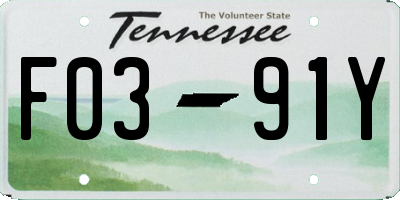 TN license plate F0391Y